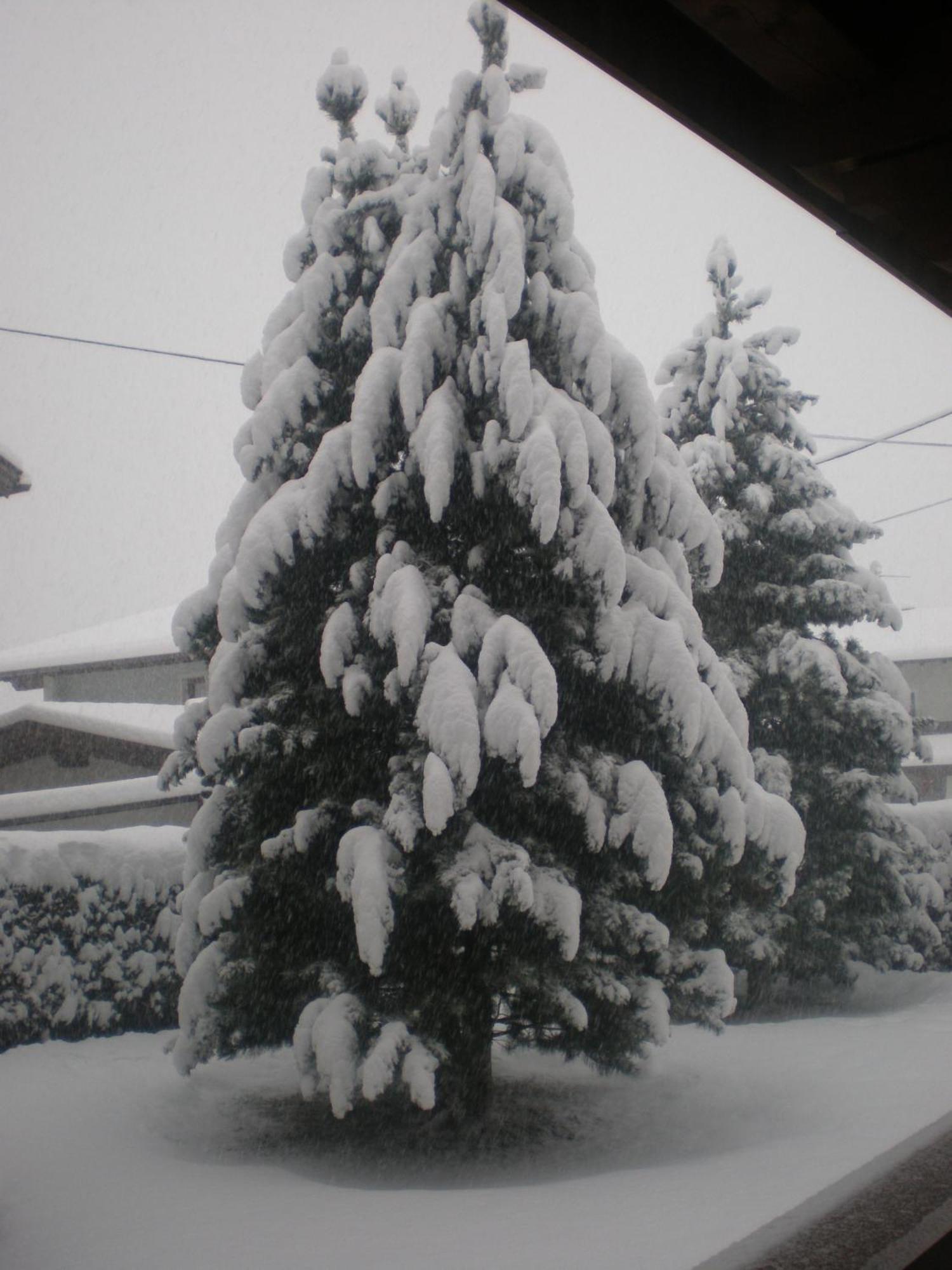 Gaesteheim Anna แลงเงนเฟลด์ ภายนอก รูปภาพ