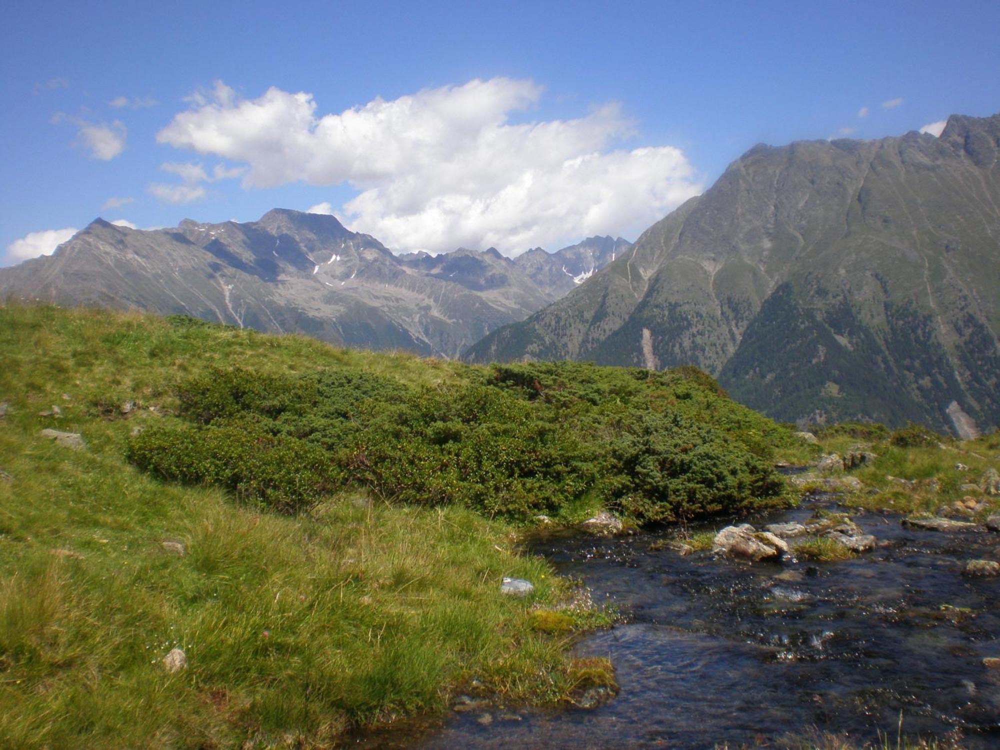 Gaesteheim Anna แลงเงนเฟลด์ ภายนอก รูปภาพ
